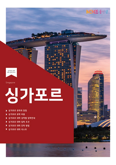 싱가포르 대학 책자